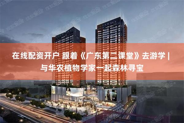 在线配资开户 跟着《广东第二课堂》去游学 | 与华农植物学家一起森林寻宝