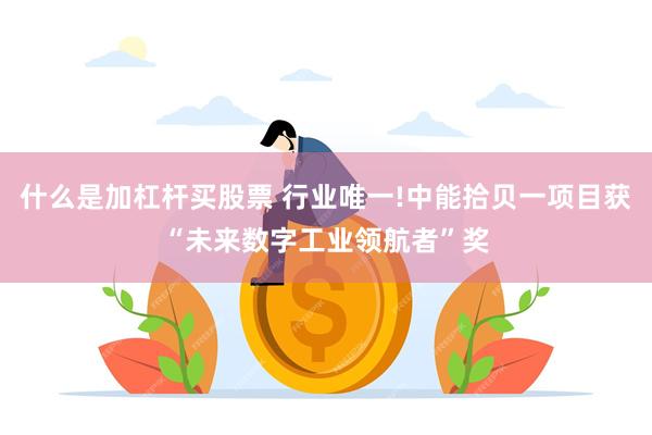 什么是加杠杆买股票 行业唯一!中能拾贝一项目获“未来数字工业领航者”奖