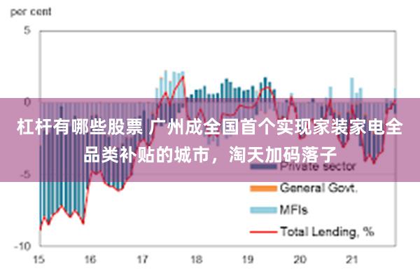 杠杆有哪些股票 广州成全国首个实现家装家电全品类补贴的城市，淘天加码落子