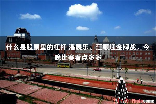 什么是股票里的杠杆 潘展乐、汪顺迎金牌战，今晚比赛看点多多