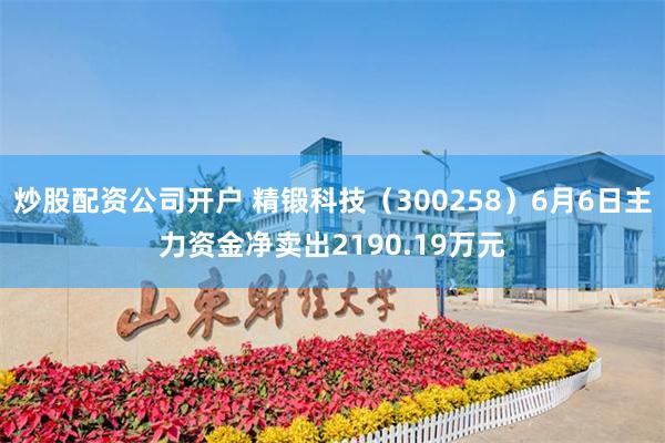 炒股配资公司开户 精锻科技（300258）6月6日主力资金净卖出2190.19万元