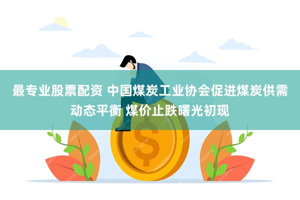 最专业股票配资 中国煤炭工业协会促进煤炭供需动态平衡 煤价止跌曙光初现