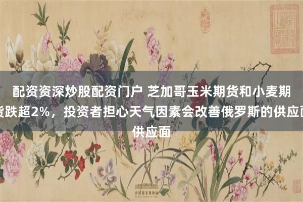 配资资深炒股配资门户 芝加哥玉米期货和小麦期货跌超2%，投资者担心天气因素会改善俄罗斯的供应面