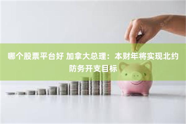 哪个股票平台好 加拿大总理：本财年将实现北约防务开支目标