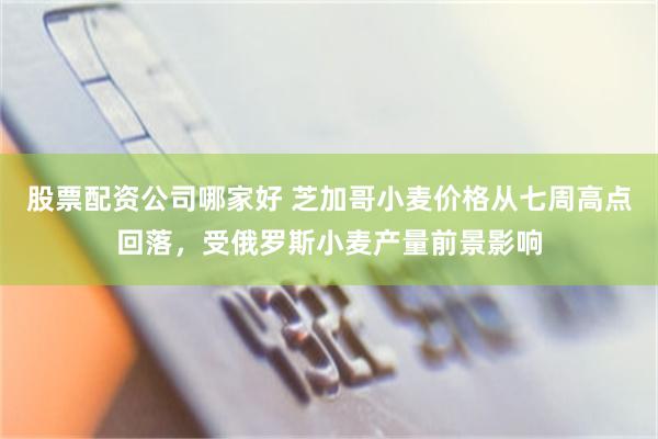 股票配资公司哪家好 芝加哥小麦价格从七周高点回落，受俄罗斯小麦产量前景影响