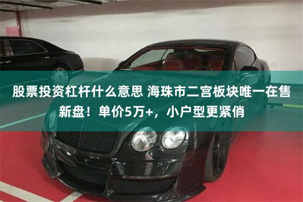 股票投资杠杆什么意思 海珠市二宫板块唯一在售新盘！单价5万+，小户型更紧俏