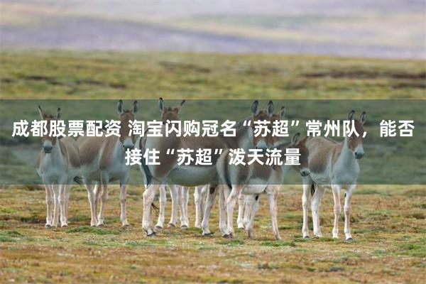 成都股票配资 淘宝闪购冠名“苏超”常州队，能否接住“苏超”泼天流量