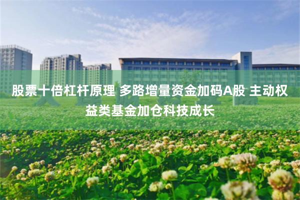 股票十倍杠杆原理 多路增量资金加码A股 主动权益类基金加仓科技成长