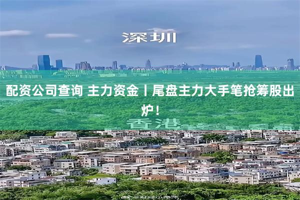 配资公司查询 主力资金丨尾盘主力大手笔抢筹股出炉！