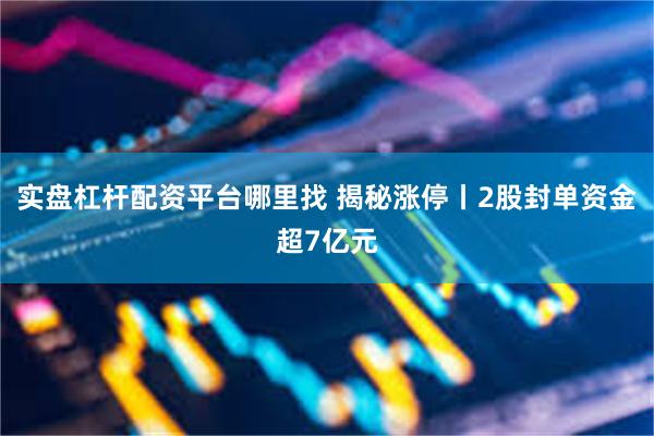 实盘杠杆配资平台哪里找 揭秘涨停丨2股封单资金超7亿元