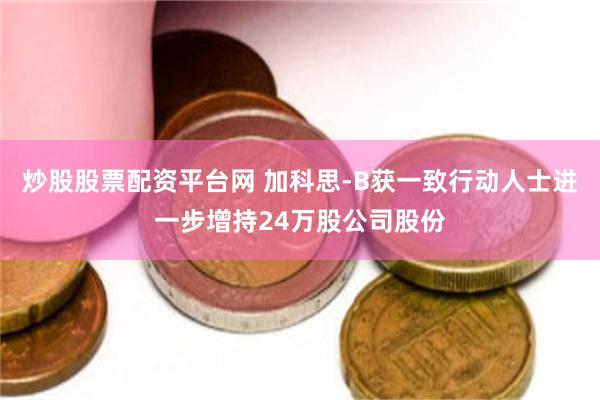 炒股股票配资平台网 加科思-B获一致行动人士进一步增持24万股公司股份