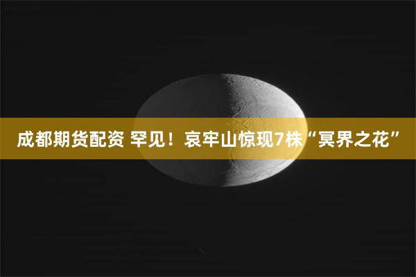 成都期货配资 罕见！哀牢山惊现7株“冥界之花”
