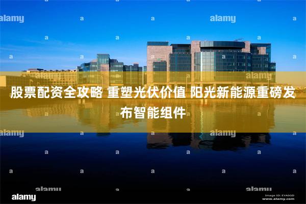 股票配资全攻略 重塑光伏价值 阳光新能源重磅发布智能组件