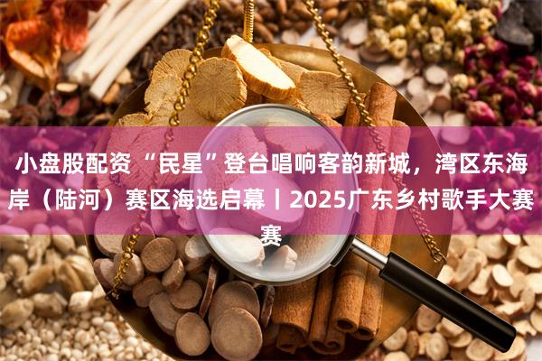 小盘股配资 “民星”登台唱响客韵新城，湾区东海岸（陆河）赛区海选启幕丨2025广东乡村歌手大赛