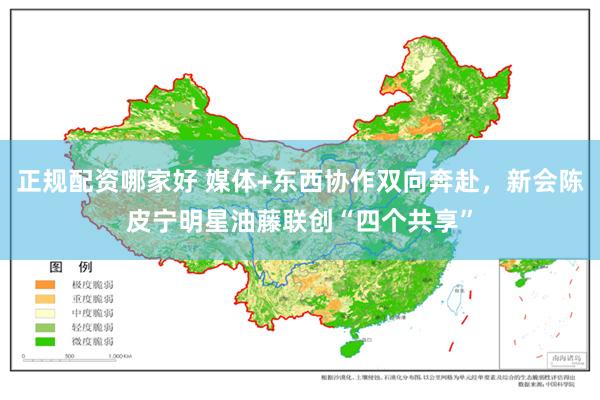 正规配资哪家好 媒体+东西协作双向奔赴，新会陈皮宁明星油藤联创“四个共享”