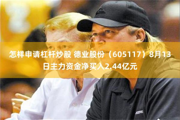 怎样申请杠杆炒股 德业股份（605117）8月13日主力资金净买入2.44亿元