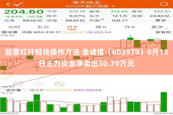 股票杠杆短线操作方法 金诚信（603979）8月13日主力资金净卖出30.79万元