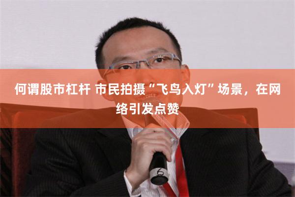 何谓股市杠杆 市民拍摄“飞鸟入灯”场景，在网络引发点赞