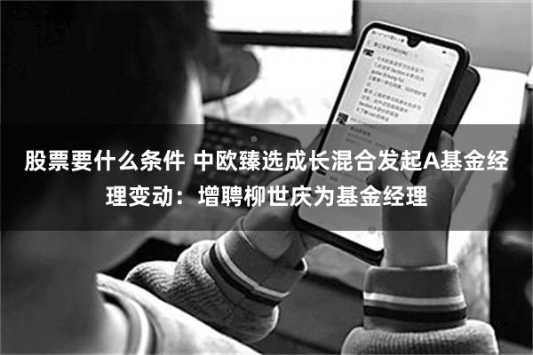 股票要什么条件 中欧臻选成长混合发起A基金经理变动：增聘柳世庆为基金经理