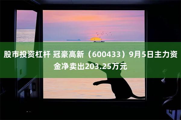 股市投资杠杆 冠豪高新（600433）9月5日主力资金净卖出203.25万元