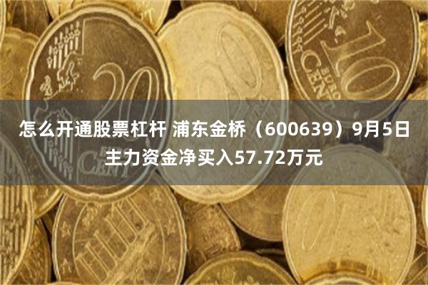 怎么开通股票杠杆 浦东金桥（600639）9月5日主力资金净买入57.72万元