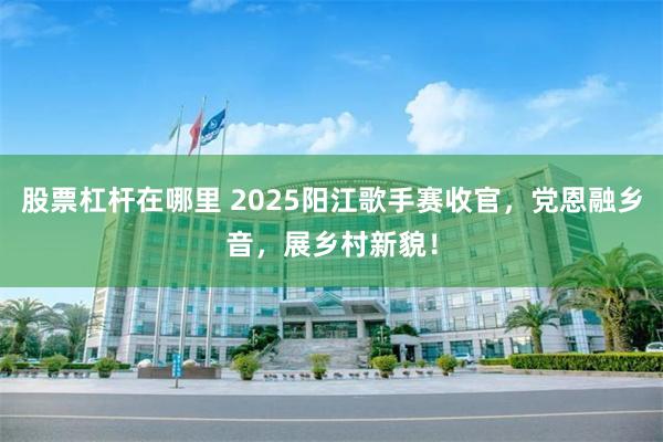 股票杠杆在哪里 2025阳江歌手赛收官，党恩融乡音，展乡村新貌！