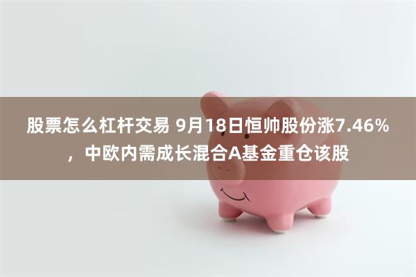 股票怎么杠杆交易 9月18日恒帅股份涨7.46%，中欧内需成长混合A基金重仓该股
