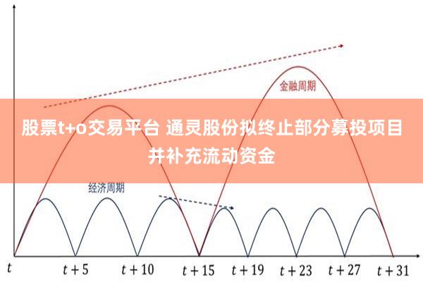股票t+o交易平台 通灵股份拟终止部分募投项目并补充流动资金