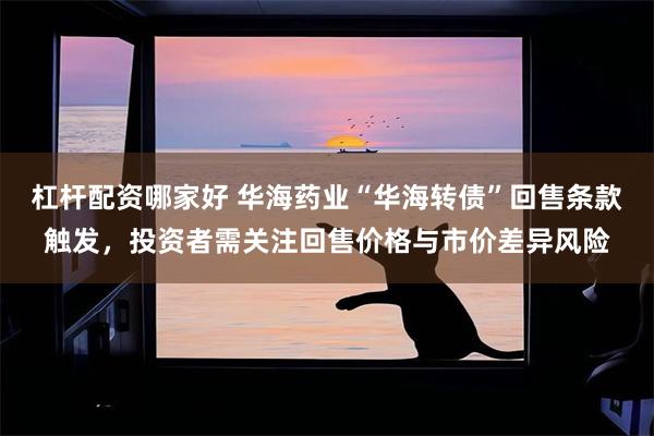 杠杆配资哪家好 华海药业“华海转债”回售条款触发，投资者需关注回售价格与市价差异风险