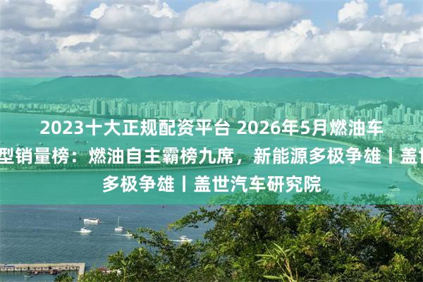 2023十大正规配资平台 2026年5月燃油车型/新能源车型销量榜：燃油自主霸榜九席，新能源多极争雄丨盖世汽车研究院