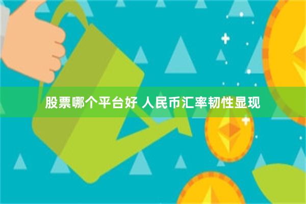 股票哪个平台好 人民币汇率韧性显现