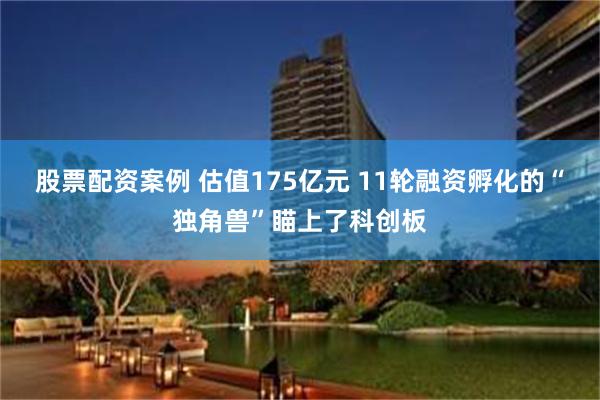 股票配资案例 估值175亿元 11轮融资孵化的“独角兽”瞄上了科创板