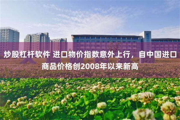 炒股杠杆软件 进口物价指数意外上行,自中国进口商品价格创2008年以来新高