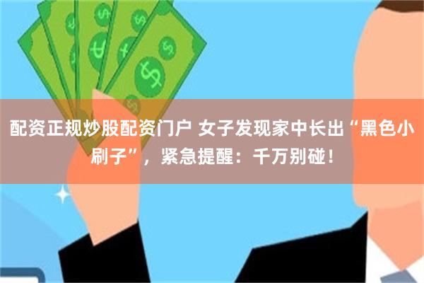 配资正规炒股配资门户 女子发现家中长出“黑色小刷子”,紧急提醒:千万别碰!