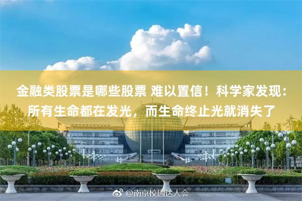金融类股票是哪些股票 难以置信！科学家发现：所有生命都在发光，而生命终止光就消失了