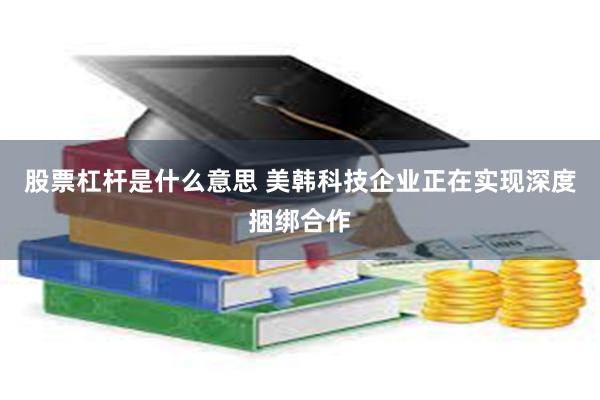 股票杠杆是什么意思 美韩科技企业正在实现深度捆绑合作