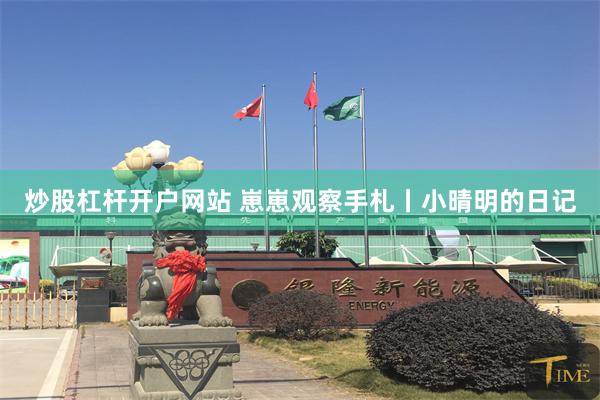 炒股杠杆开户网站 崽崽观察手札丨小晴明的日记