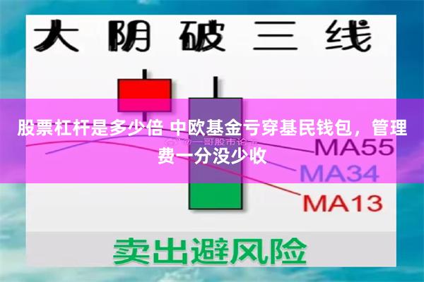 股票杠杆是多少倍 中欧基金亏穿基民钱包，管理费一分没少收