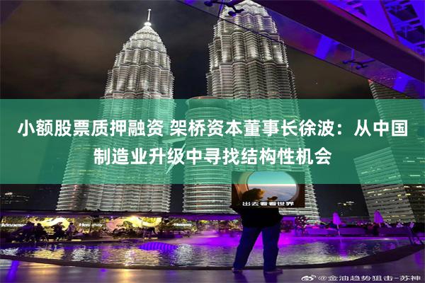 小额股票质押融资 架桥资本董事长徐波：从中国制造业升级中寻找结构性机会