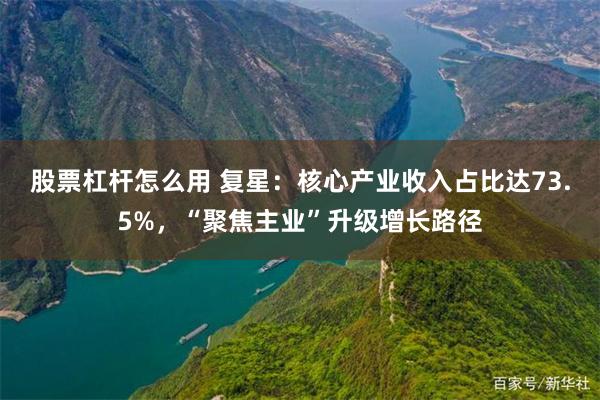 股票杠杆怎么用 复星：核心产业收入占比达73.5%，“聚焦主业”升级增长路径