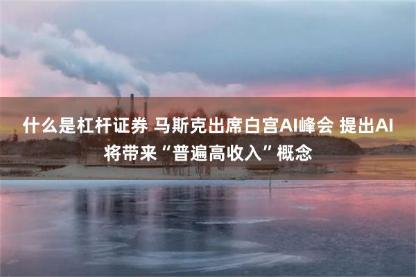 什么是杠杆证券 马斯克出席白宫AI峰会 提出AI将带来“普遍高收入”概念