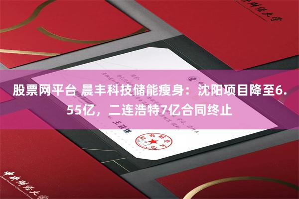 股票网平台 晨丰科技储能瘦身：沈阳项目降至6.55亿，二连浩特7亿合同终止