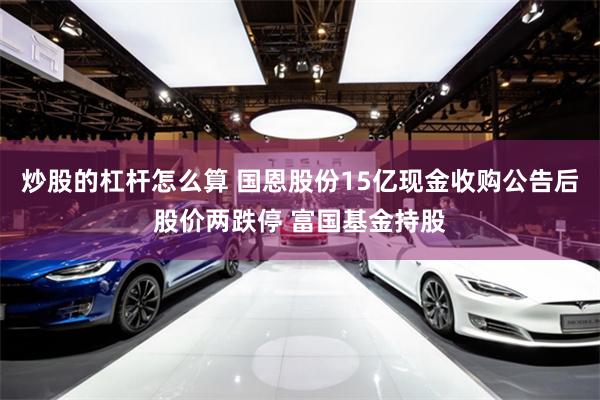 炒股的杠杆怎么算 国恩股份15亿现金收购公告后股价两跌停 富国基金持股