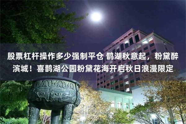 股票杠杆操作多少强制平仓 鹊湖秋意起，粉黛醉滨城！喜鹊湖公园粉黛花海开启秋日浪漫限定