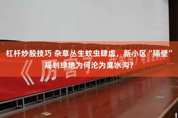 杠杆炒股技巧 杂草丛生蚊虫肆虐,新小区“隔壁”规划绿地为何沦为臭水沟?
