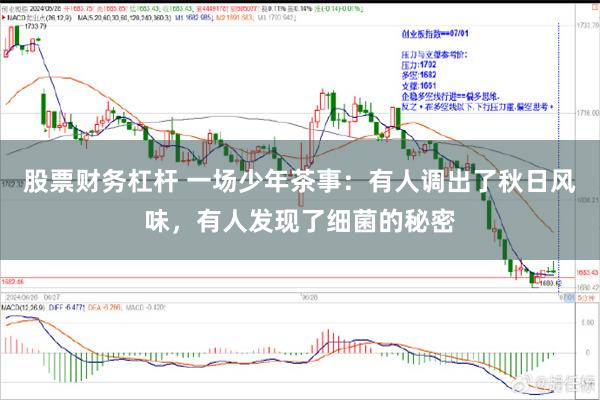股票财务杠杆 一场少年茶事：有人调出了秋日风味，有人发现了细菌的秘密
